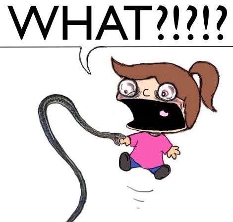 what1